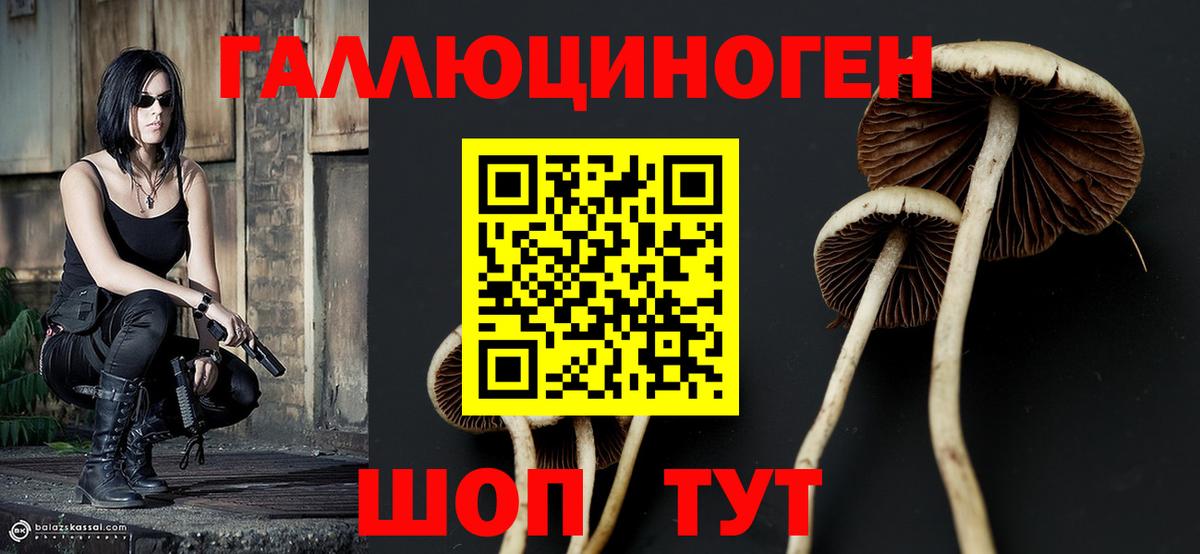 Псилоцибиновые грибы мицелий Клинцы
